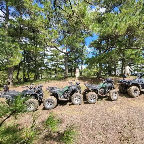 a line of atvs in front of pine trees.