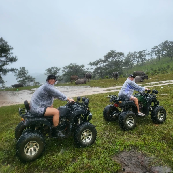 two people riding atvs in the rain in front of a herd of buffalo.